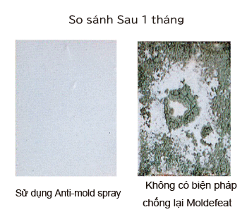 Anti-Mold spray 
